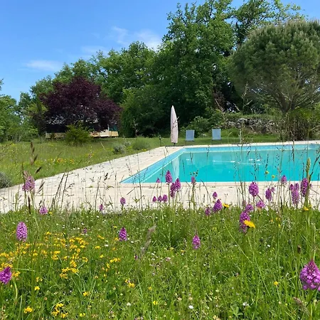 Lüks kamp alanı Yourte Maison Oya *