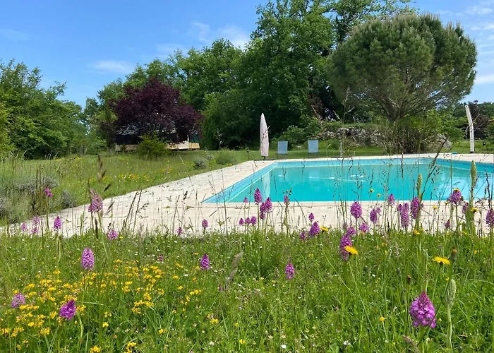 Lüks kamp alanı Yourte Maison Oya *